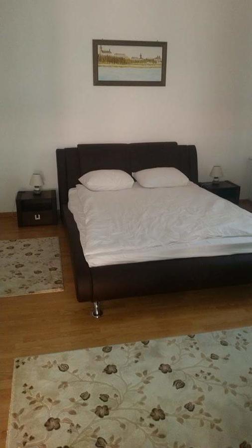 מלון Târgu Jiu Casa Onyx מראה חיצוני תמונה