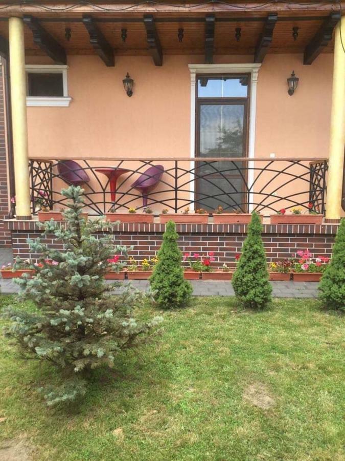 מלון Târgu Jiu Casa Onyx מראה חיצוני תמונה